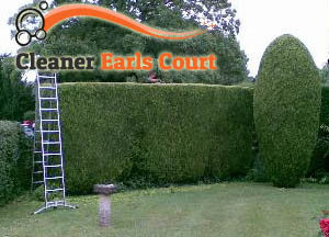 Hedge Maintenance Earls Court