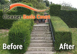 Before and After Hedge Trimming