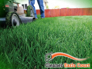 grass-cutting-services-earls-court