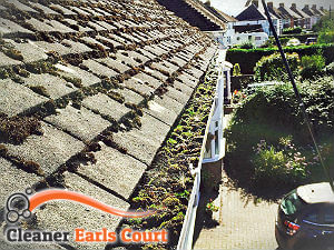 gutter-cleaning-earls-court